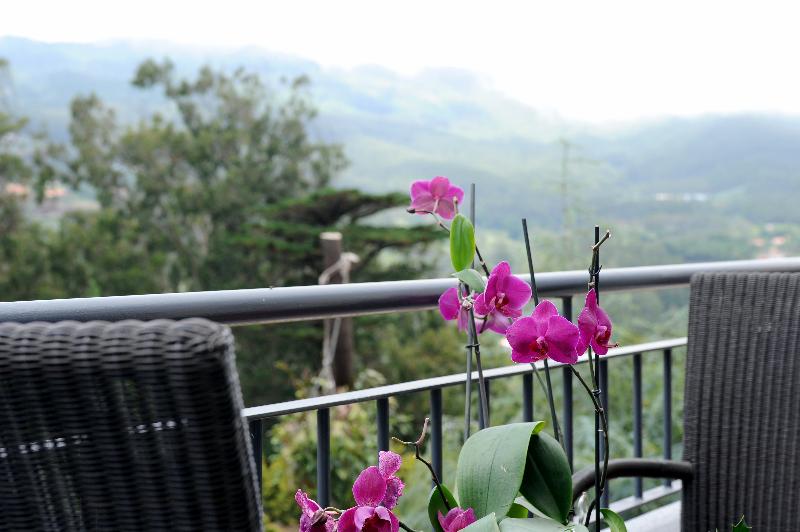 Quinta da Cova do Milho - Teras