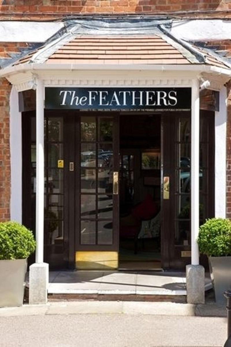 The Feathers - Genel