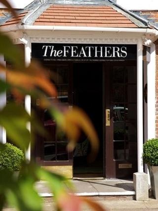 The Feathers fotoÄŸrafÄ±