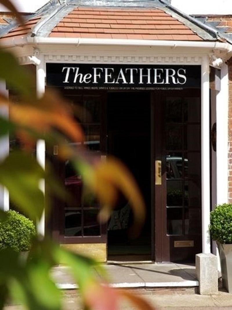 The Feathers - Genel