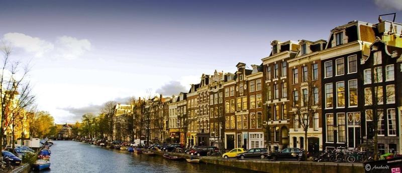 OZO Hotels Cordial Amsterdam - Genel