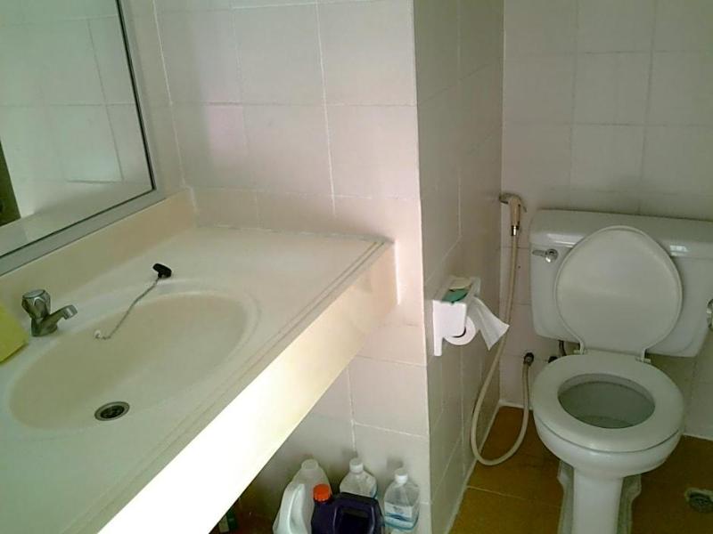Milford Paradise - Genel