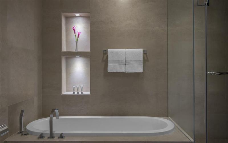 Le Royal Meridien Abu Dhabi - Genel