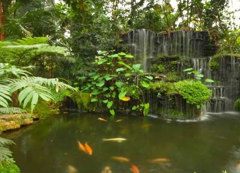 Horizon Village & Resort Chiang Mai fotoÄŸrafÄ±