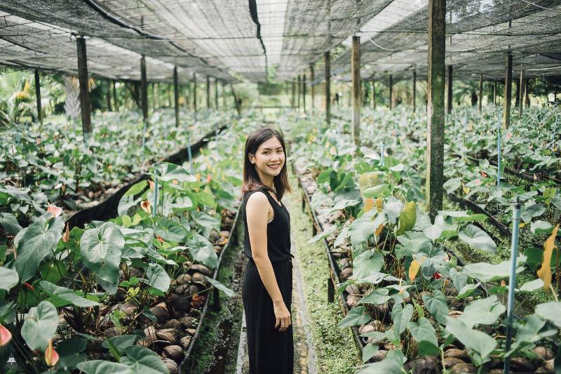 Horizon Village & Resort Chiang Mai - Genel