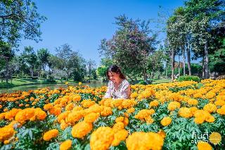 Horizon Village & Resort Chiang Mai fotoÄŸrafÄ±