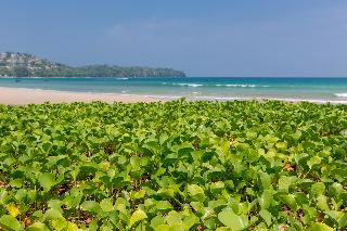 Sunwing Bangtao Beach fotoÄŸrafÄ±