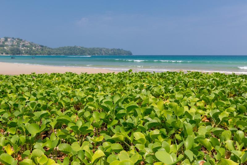 Sunwing Bangtao Beach - Plaj