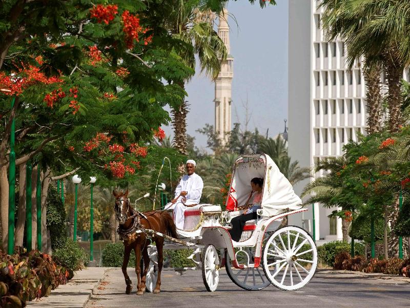 Mercure Ismailia Forsan Island Hotel - Aktivite