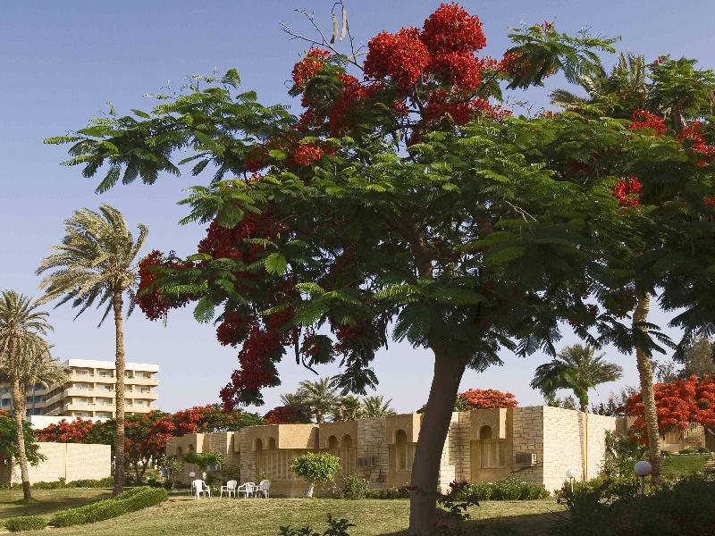 Mercure Ismailia Forsan Island Hotel - Oda