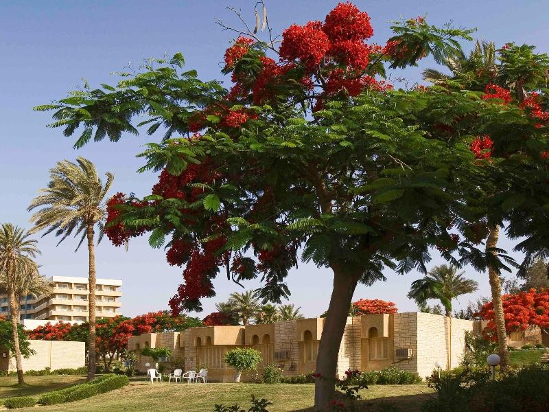Mercure Ismailia Forsan Island Hotel - Oda