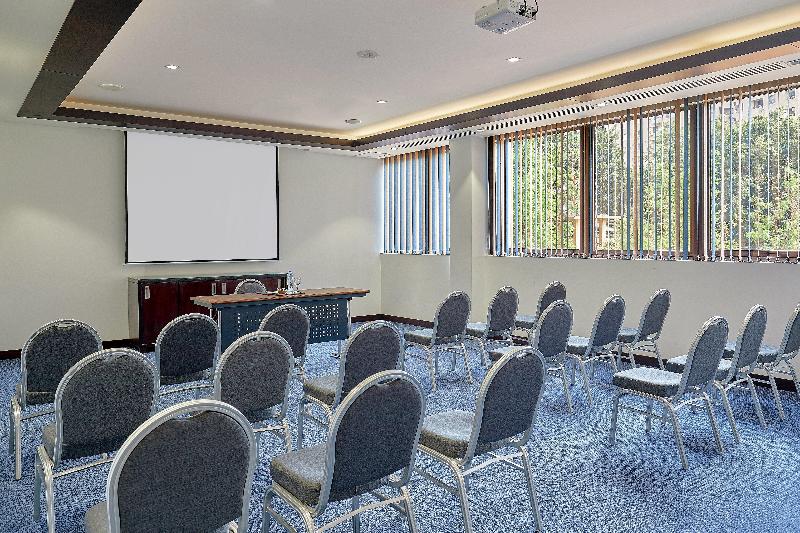 Holiday Inn Cairo Maadi - Toplantı