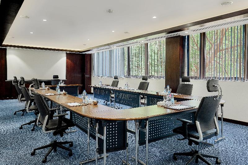 Holiday Inn Cairo Maadi - Toplantı