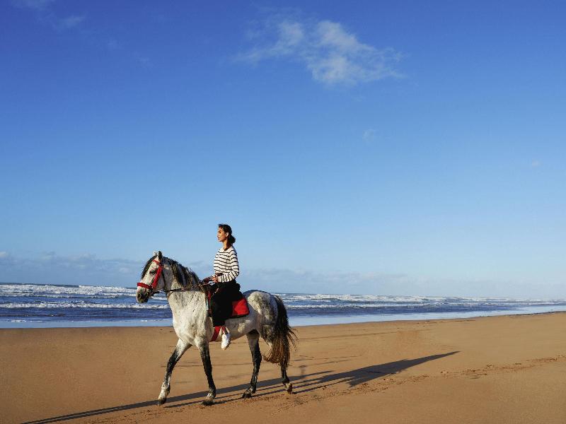 Pullman Mazagan Royal Golf & Spa - Genel
