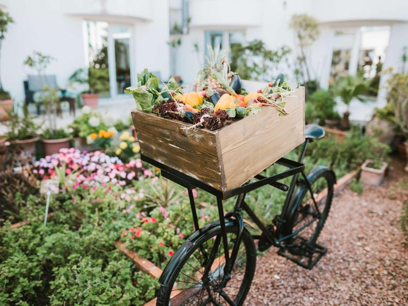 Le Diwan Hotel Rabat - MGallery Collection - Restoran