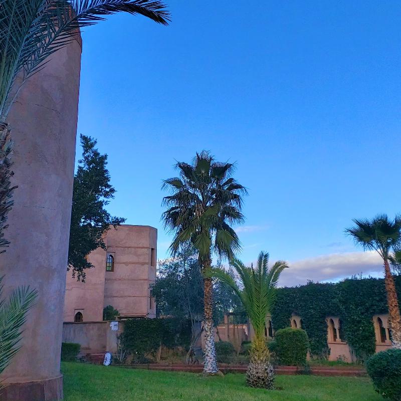 Riad La Maison des Oliviers - Genel