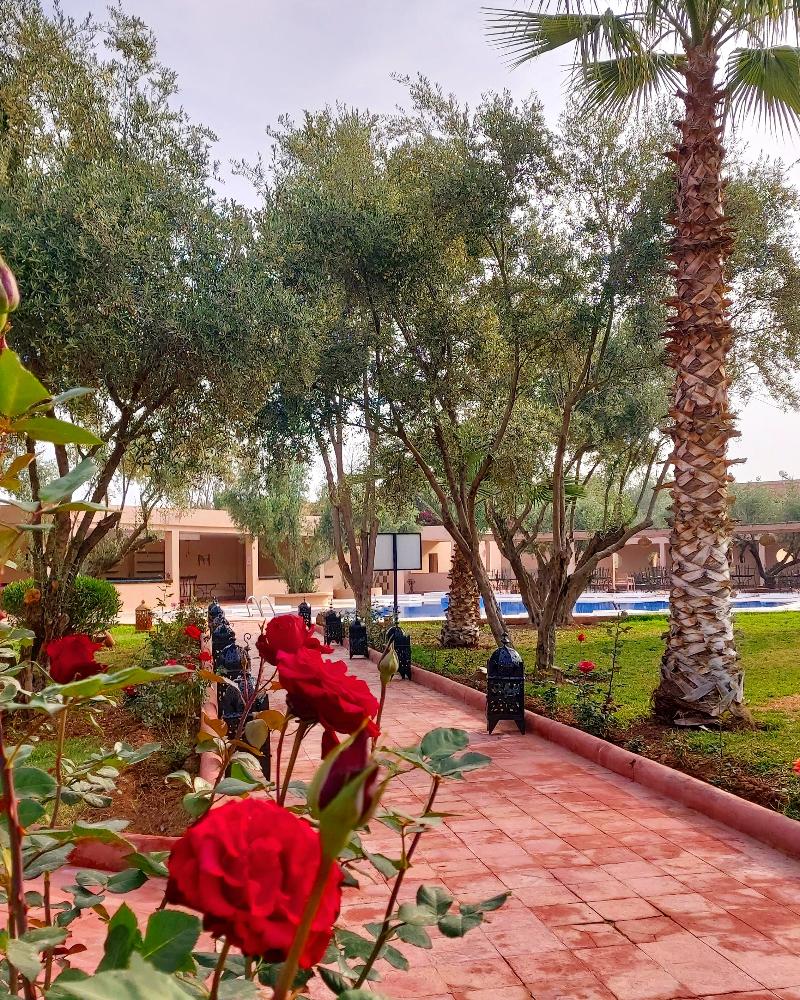 Riad La Maison des Oliviers - Genel