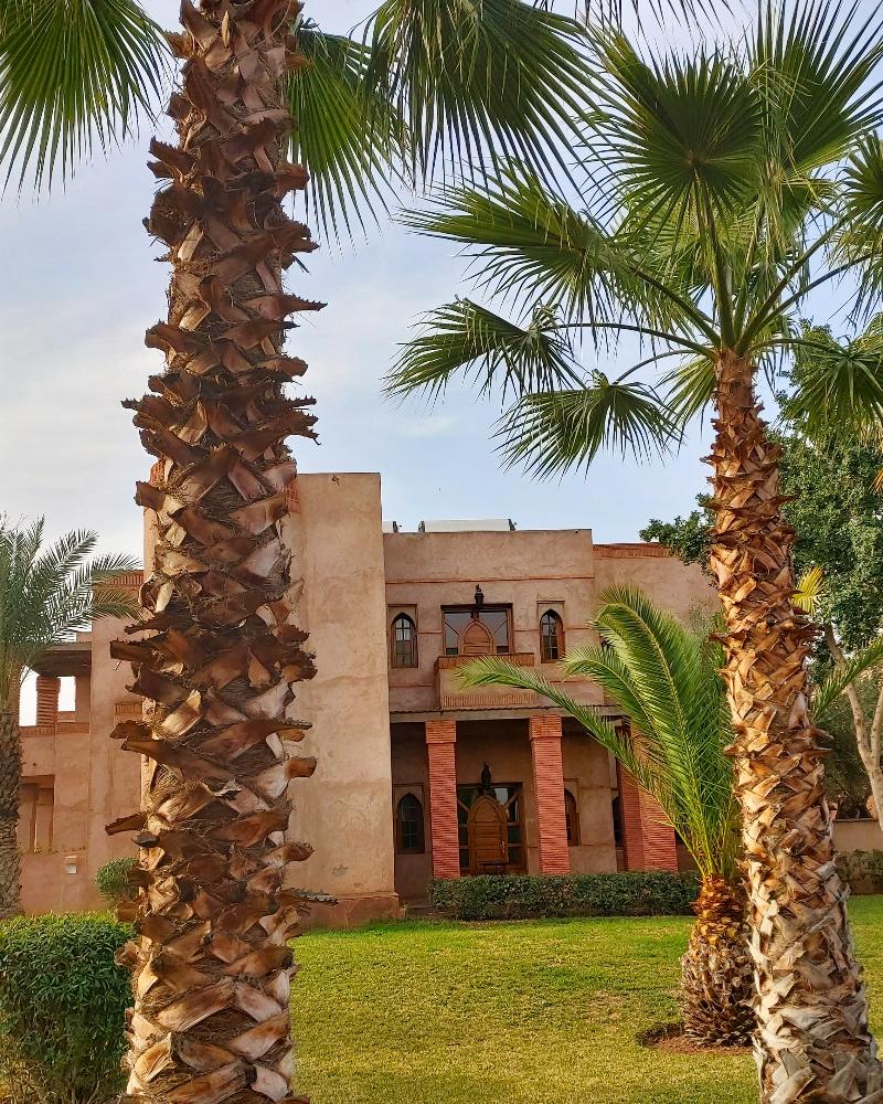 Riad La Maison des Oliviers - Oda
