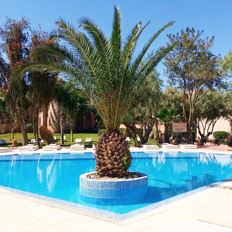 Riad La Maison des Oliviers - Havuz