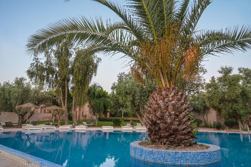 Riad La Maison des Oliviers - Havuz