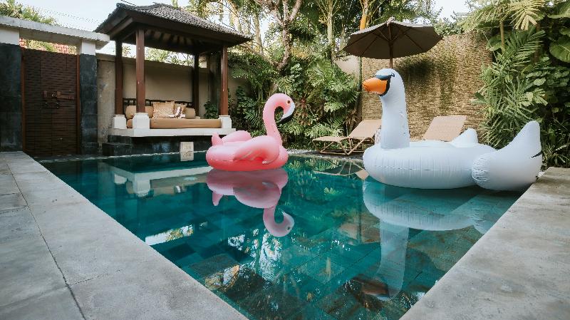 DISINI Villas and Spa - Havuz