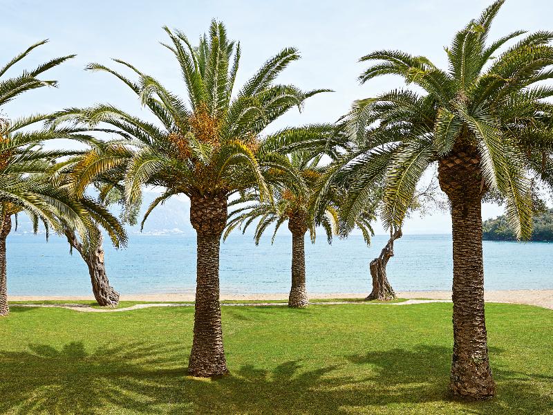 Grecotel Daphnila Bay - Genel