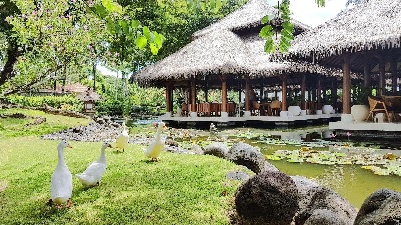Grand Hyatt Bali - Bar