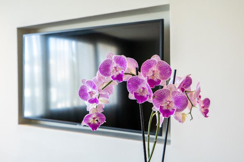 JM Suites Hotel Eco-Friendly Casablanca - Oda