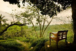 COMO Shambhala Estate fotoÄŸrafÄ±