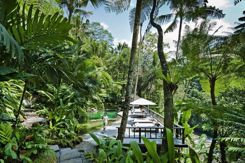 COMO Shambhala Estate - Havuz