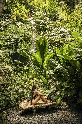 COMO Shambhala Estate fotoÄŸrafÄ±