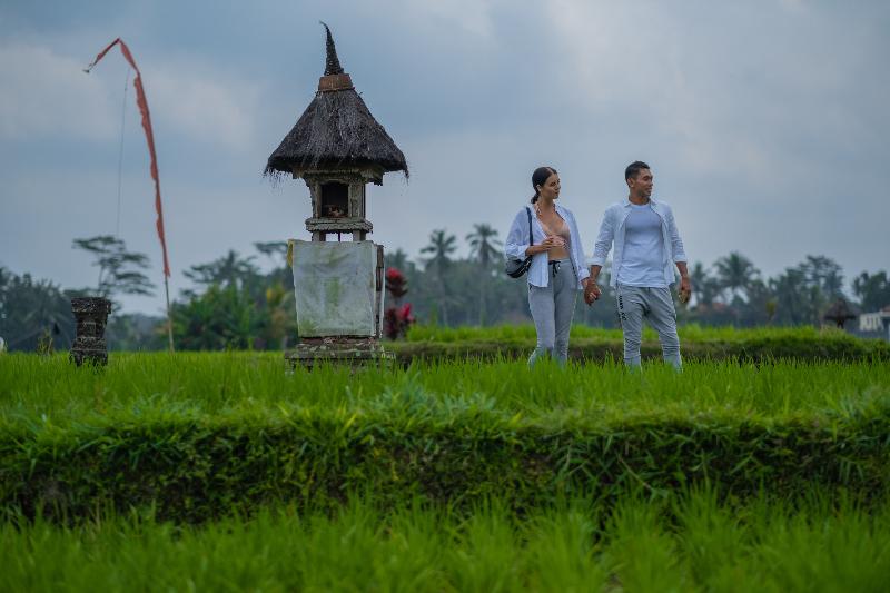 Puri Wulandari Boutique Resort & Spa - Aktivite