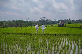 Puri Wulandari Boutique Resort & Spa fotoÄŸrafÄ±