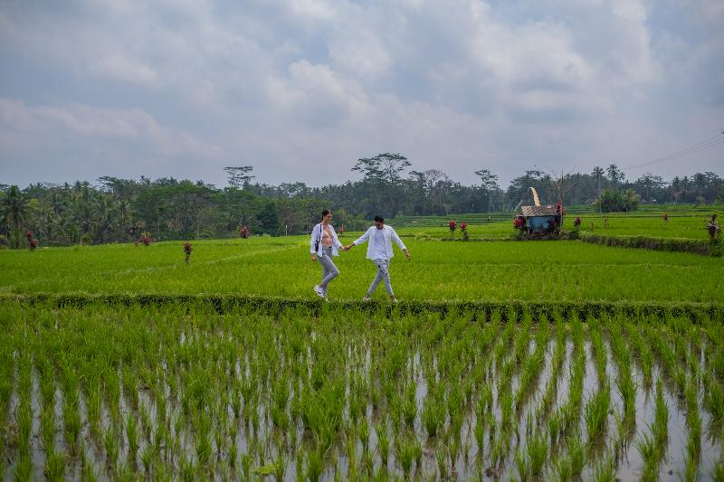 Puri Wulandari Boutique Resort & Spa - Aktivite