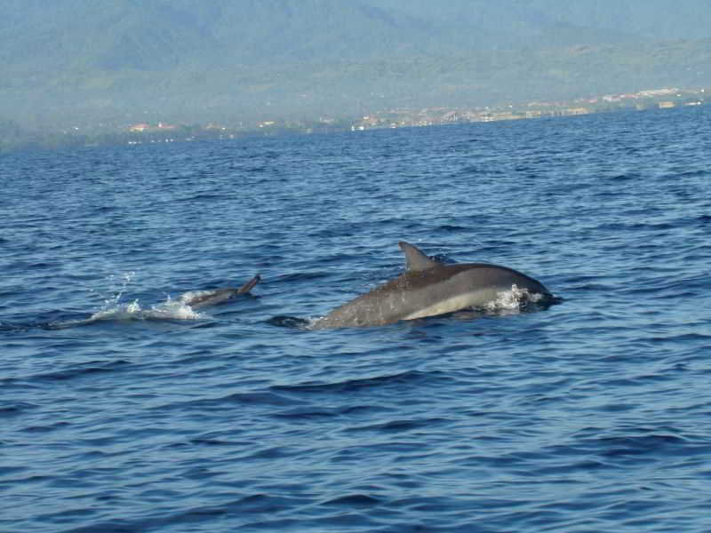Adi Rama Beach fotoÄŸrafÄ±