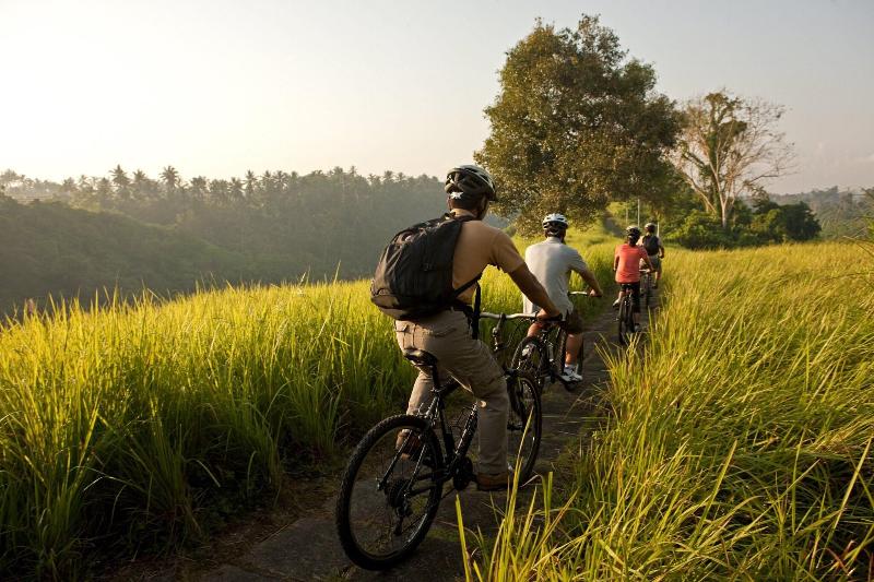 COMO Uma Ubud - Aktivite