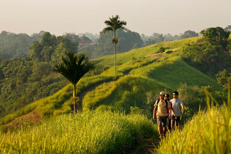 COMO Uma Ubud - Aktivite