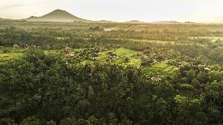COMO Uma Ubud fotoÄŸrafÄ±