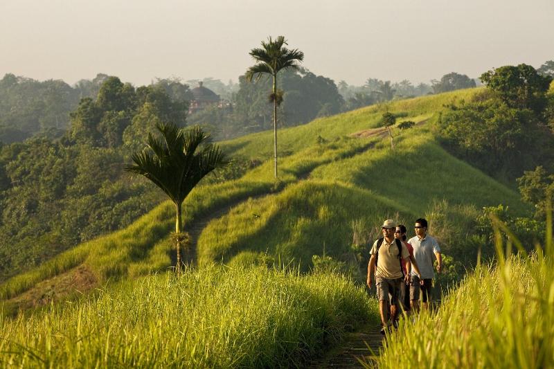 COMO Uma Ubud - Genel