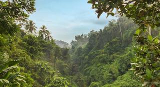 Viceroy Bali fotoÄŸrafÄ±