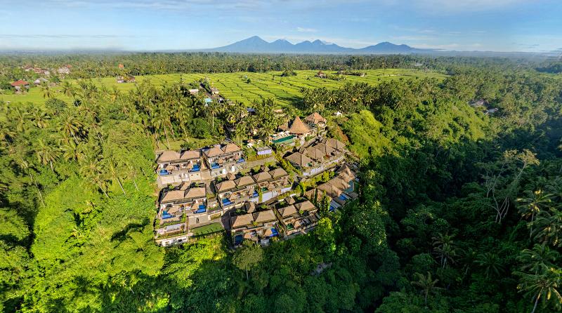 Viceroy Bali - Genel