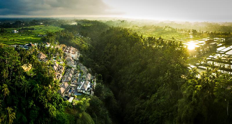 Viceroy Bali - Genel