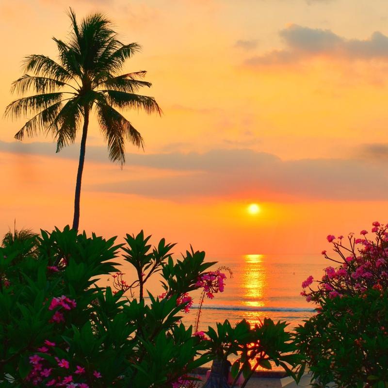 Puri Mas Boutique Resort And Spa - Genel