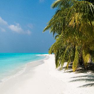 Meeru Island Resort & Spa fotoÄŸrafÄ±