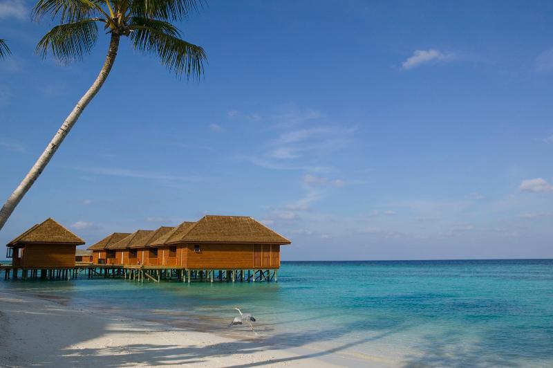 Veligandu Island Resort & Spa - Aktivite