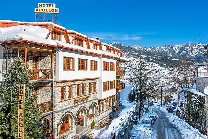Apollon Metsovo - Genel