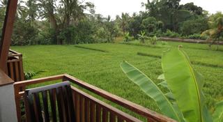 Anini Raka Resort & Spa fotoÄŸrafÄ±