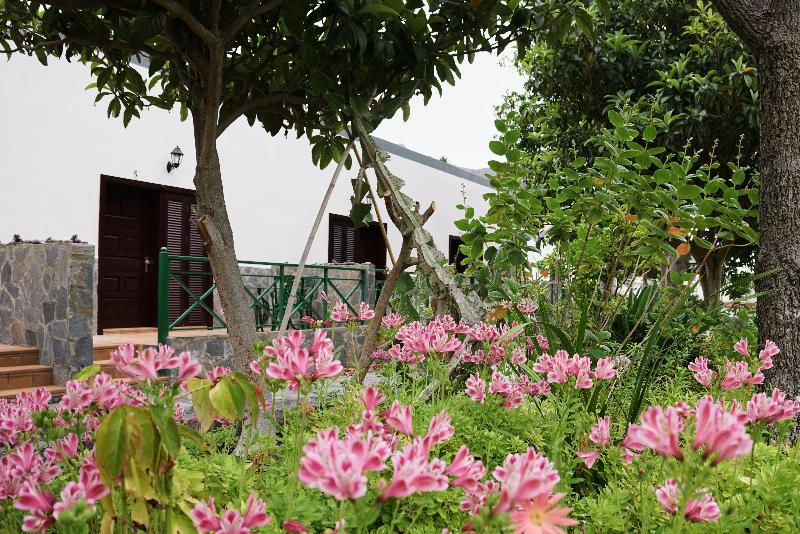 Finca Piñero - Genel