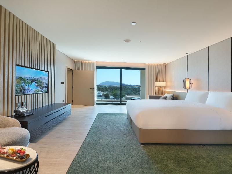 Al Ain Rotana - Oda