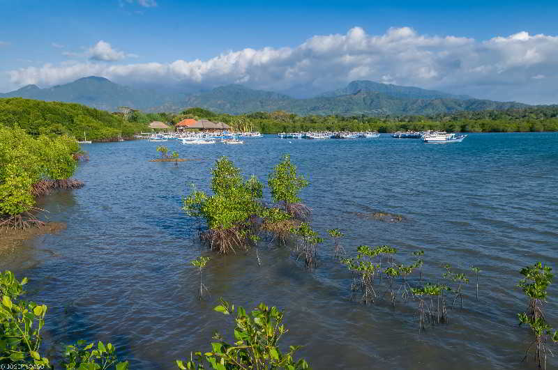 Naya Gawana Resort & Spa fotoÄŸrafÄ±